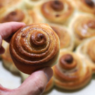 Cinnamon Rolls